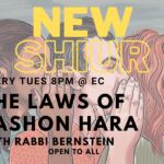 Shiur on Lashon Harah with Rabbi Bernstein