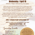 9th Annual Men's Seder